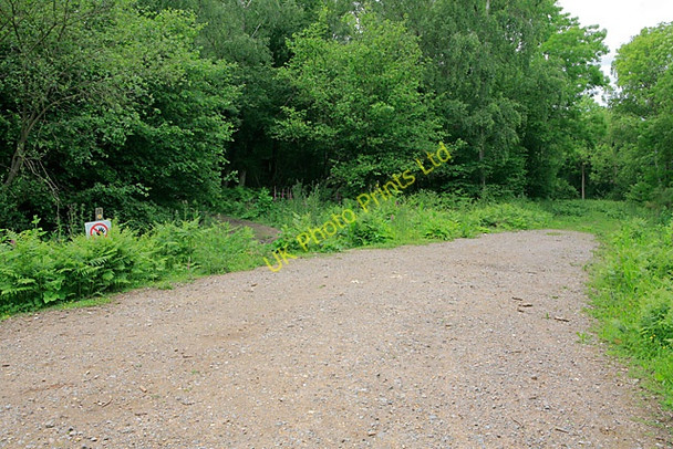 Photo 6"x4" Track and footpath in Botley Wood Curbridge\/SU5211 c2007