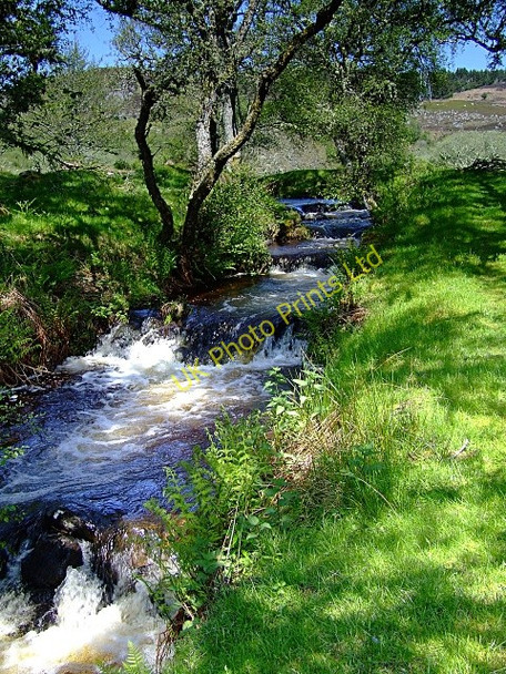 Photo 6"x4" A Small Burn in Strath Carnaig Little Torboll c2007
