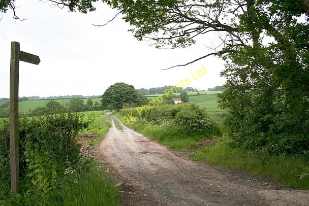 Photo 6"x4" Childsgrove Farm Highwood\/SO6566 c2007