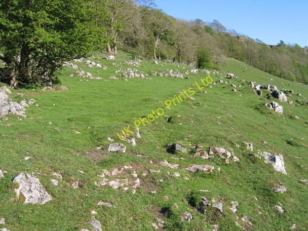 Photo 6"x4" Footpath from Stainforth towards the Winskills Stainforth\/SD8267 c2007