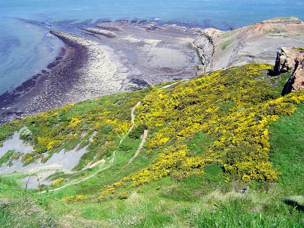 Photo 6"x4" Disused quarries at Kettleness Goldsborough\/NZ8314 c2007