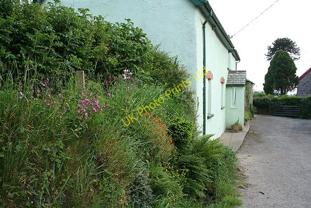Photo 6"x4" North Molton: at Upcott Brinsworthy c2007