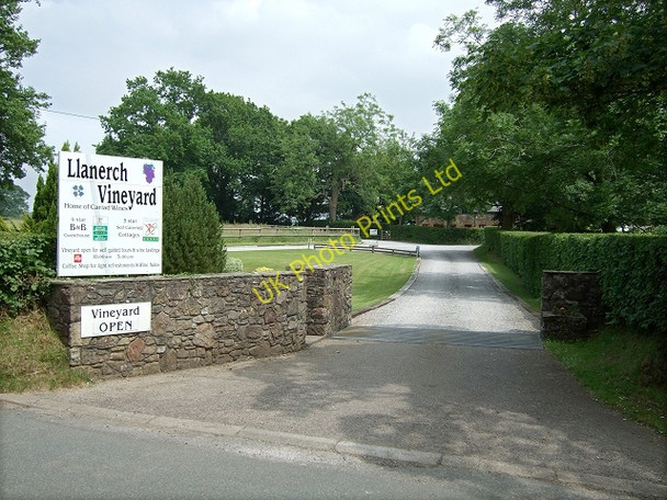 Photo 6"x4" Llanerch Vineyard, Hensol Miskin\/ST0480 c2007