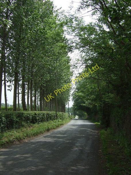 Photo 6"x4" Country Road adjacent to Llanerch Vineyard Miskin\/ST0480 c2007