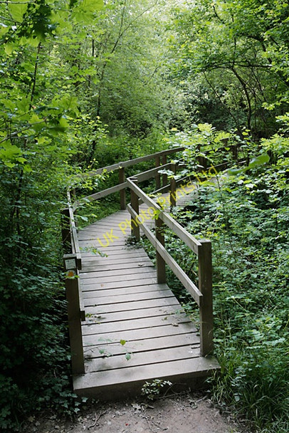 Photo 6"x4" Footbridge in Swanwick Wood Burridge\/SU5110 c2007