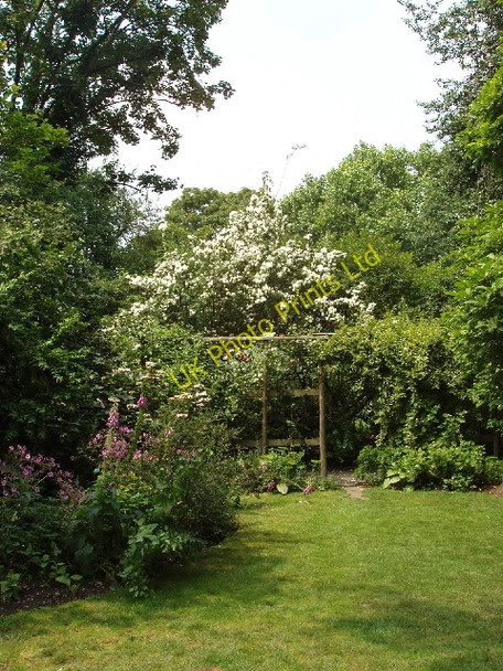 Photo 6"x4" Thurloe Square gardens Westminster c2007