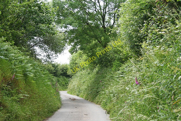 Photo 6"x4" North Molton: lane near Coombeshead North Molton c2007