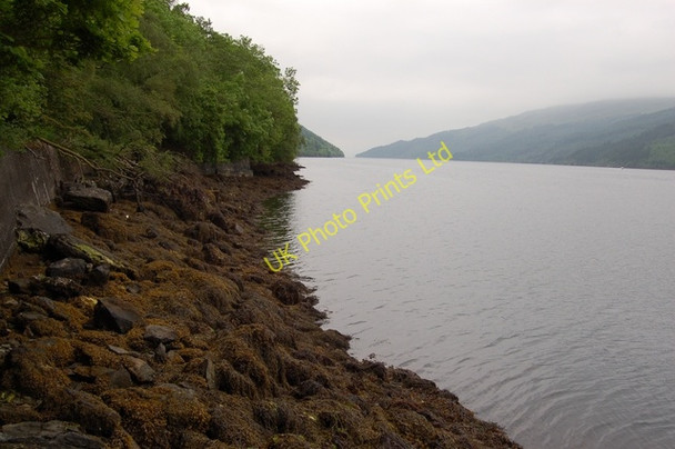 Photo 6"x4" Shoreline of Loch Long Ardgartan c2007