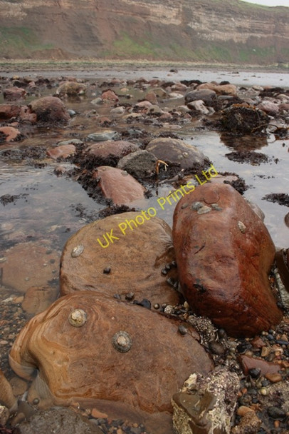 Photo 6"x4" Saltburn Scar Saltburn-By-The-Sea c2007