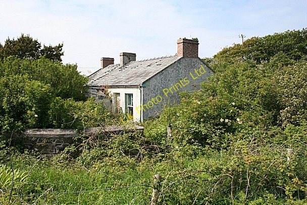 Photo 6"x4" Overgrown Cottage Ballintoy c2007