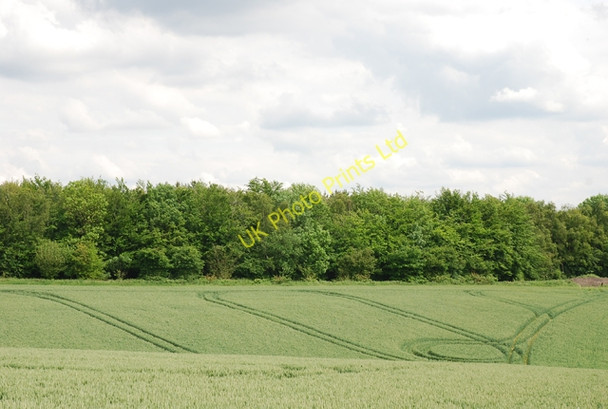Photo 6"x4" Tractor tracks mark the way Dinton\/SU0131 c2007