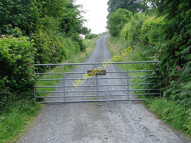 Photo 6"x4" Entrance to Bron-derwgoed Bont Dolgadfan c2007