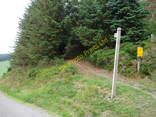 Photo 6"x4" Bridleway at Bwlch Glynmynydd Bont Dolgadfan c2007