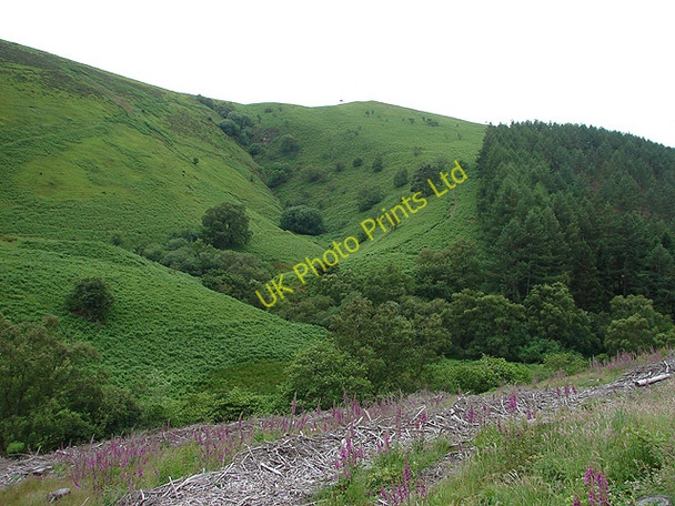 Photo 6"x4" Small cwm branching from Cwm Nant Gwidol Pennant\/SN8797 c2007