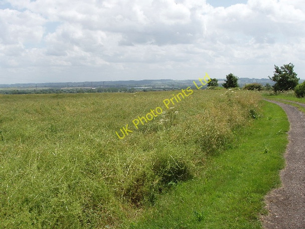 Photo 6"x4" Oilseed rape at Ashbrook Farm Wootton Bourne End c2007