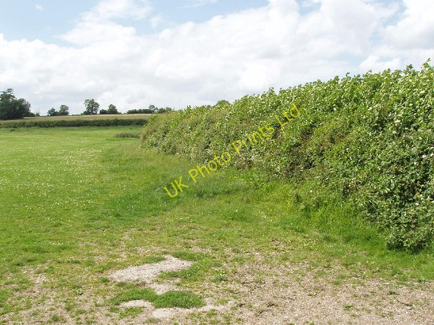 Photo 6"x4" Pasture and hedge, Hall End of Wootton Hall End\/TL0045 c2007