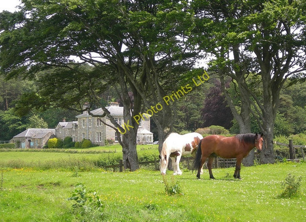 Photo 6"x4" Lovestone House Old Dailly c2007