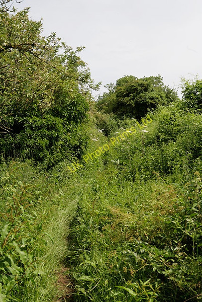 Photo 6"x4" Bridleway west of Tunlands Farm, Over Wallop Over Wallop c2007