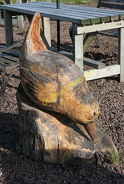 Photo 6"x4" Wood Sculpture Ballintoy c2007 P4
