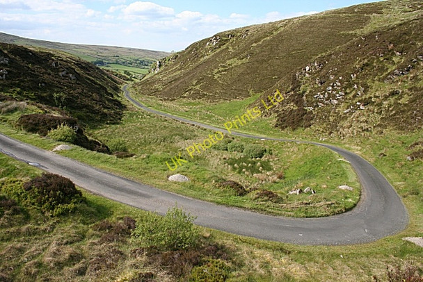 Photo 6"x4" Butterlope Glen Plumbridge c2007