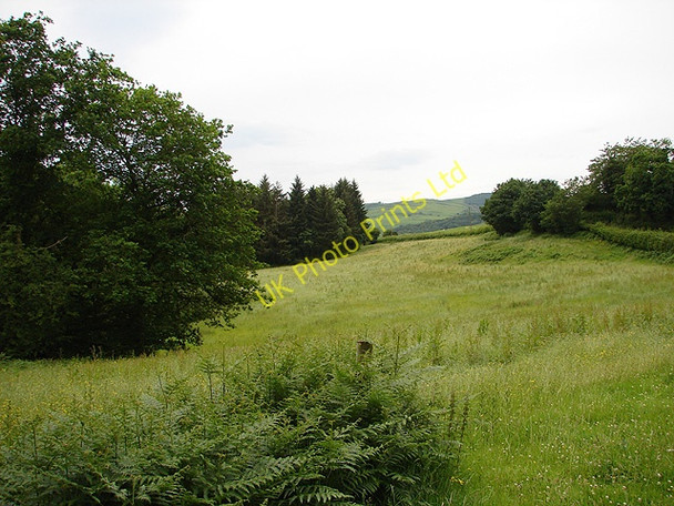 Photo 6"x4" Beside Afon Gwydol Abercegir c2007
