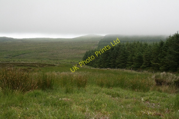 Photo 6"x4" Forestry and Moorland South of Ballygroggan. Machrihanish c2007