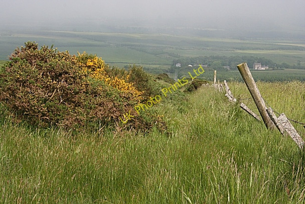Photo 6"x4" Brae of Crombie Ramsburn c2007