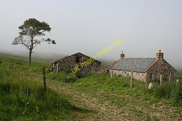 Photo 6"x4" Brae of Crombie Ramsburn c2007