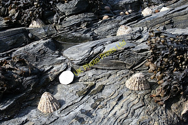 Photo 6"x4" Slump Fold Larne c2007