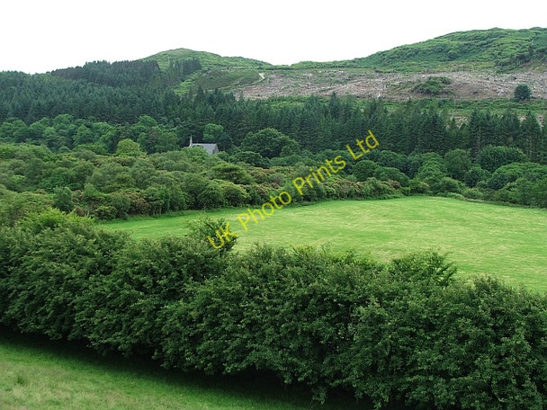 Photo 6"x4" Bridgend Church and Church Wood. Bridgend\/NR7937 c2007