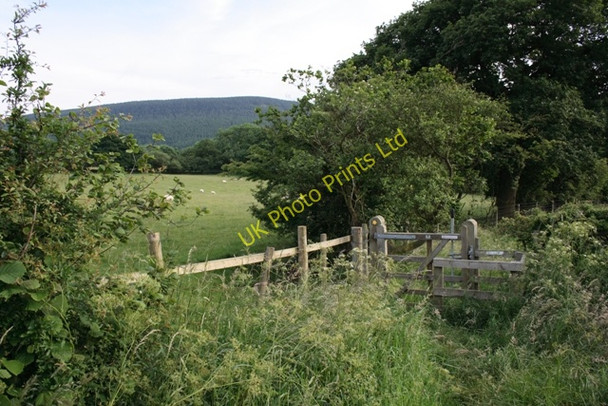 Photo 6"x4" Gate, Public Footpath, Dibdale Heathwaite\/NZ4801 c2007