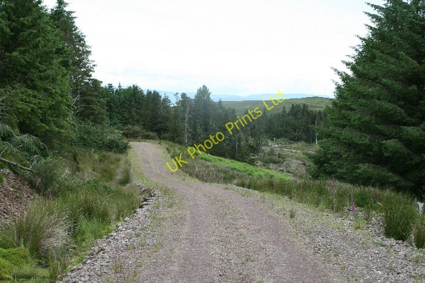 Photo 6"x4" Forestry Road near Feochaig Balnabraid Glen c2007