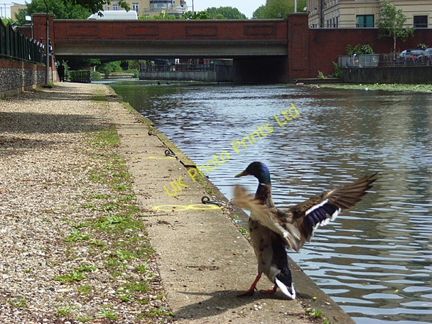 Photo 6"x4" River Kennet, Reading Reading c2007