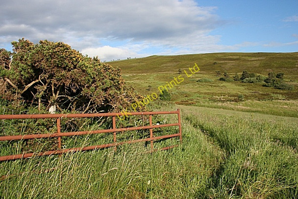 Photo 6"x4" Tips of Corsemaul Haugh of Glass c2007