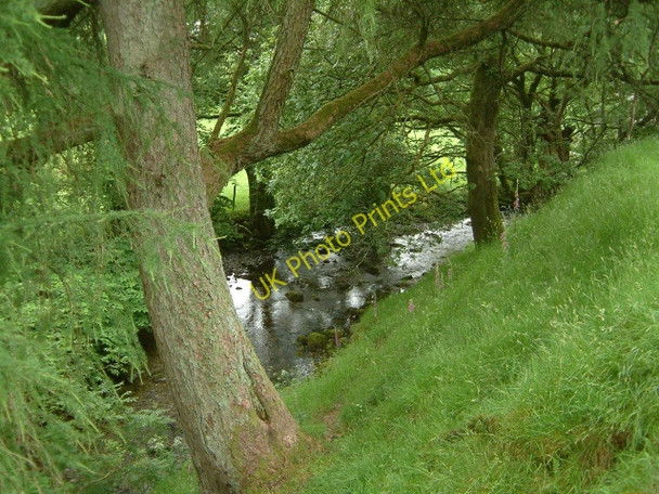 Photo 6"x4" Unnamed stream Rhydymain c2007