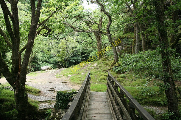 Photo 6"x4" Buckland Monachorum: at Double Waters Buckland Monachorum c2007