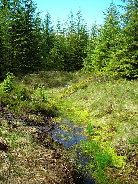 Photo 6"x4" Boggy Drainage Ditch in Whitelee Forest Laigh Carnduff c2007