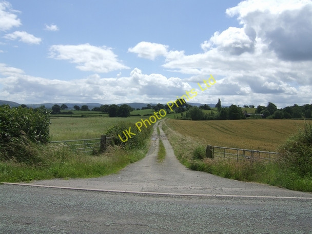 Photo 6"x4" Bridleway to Wood Farm Hinwood c2007