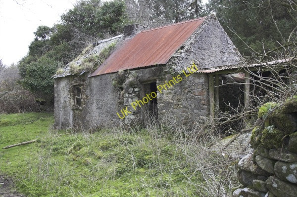 Photo 6"x4" Ruined cottage Graiguenamanagh c2006