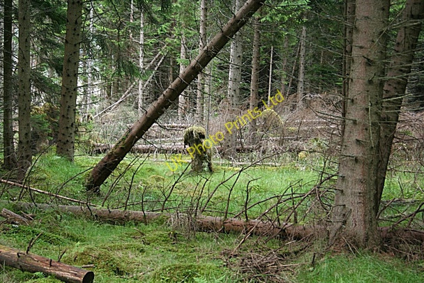 Photo 6"x4" Is it a .... ? Towiemore c2007