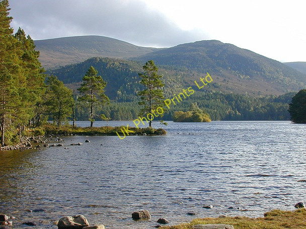 Photo 6"x4" Loch an Eilein Doune\/NH8809 c2001