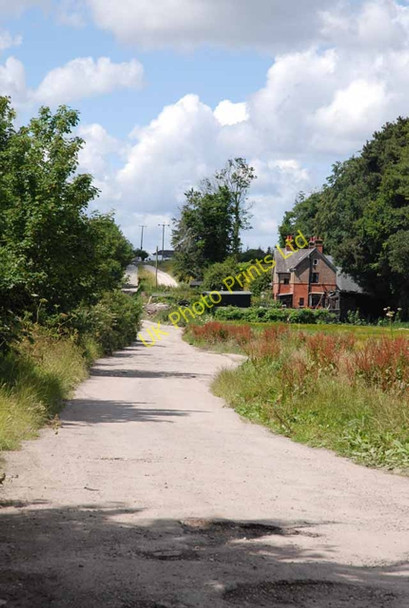 Photo 6"x4" Old Shaftsbury Drove heads west Salisbury c2007