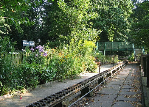 Photo 6"x4" Worden Park, Leyland Leyland c2006