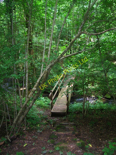 Photo 6"x4" Footbridge over the Dudwell, Milkhurst Wood Punnett's Town c2007
