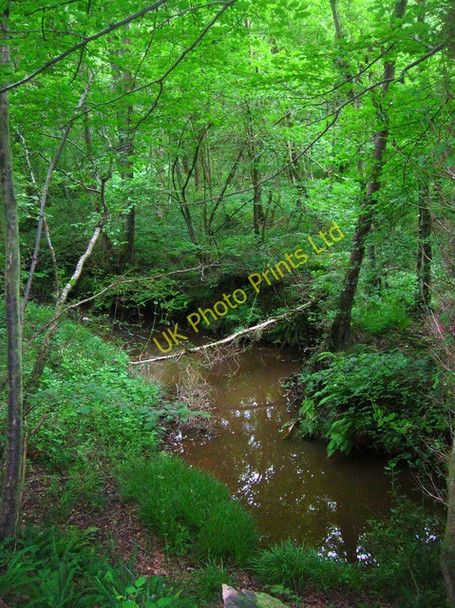 Photo 6"x4" Willingford Stream, Dallington Forest Dallington\/TQ6519 c2007