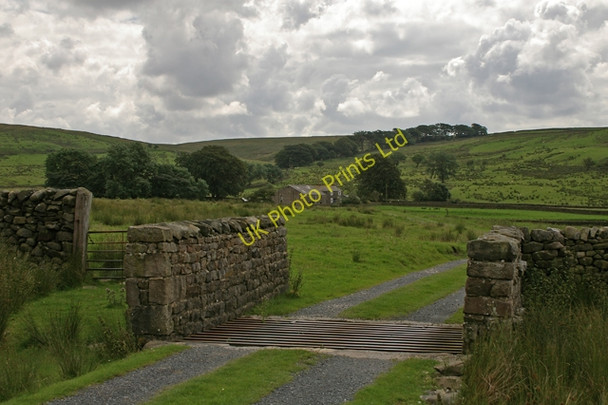 Photo 6"x4" Gate to Gilberton Farm Tarnbrook c2007