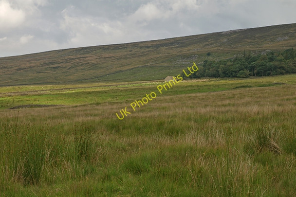 Photo 6"x4" Moss End Tarnbrook c2007