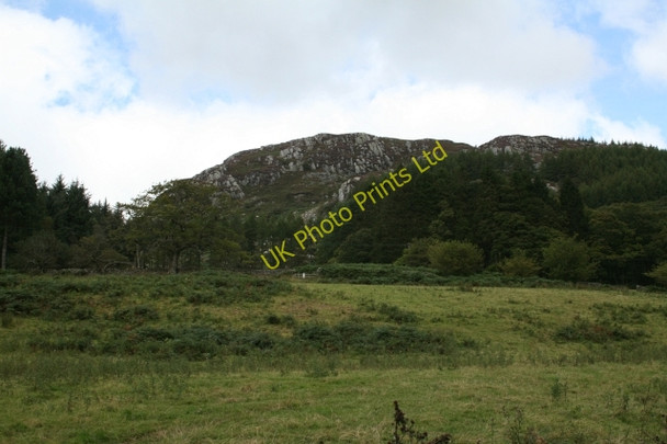 Photo 6"x4" Great Bank. Eskdale Green c2007