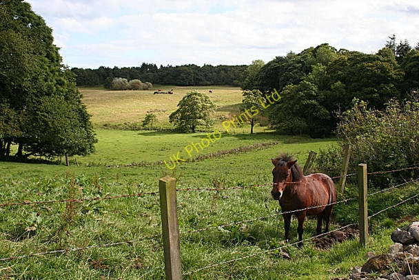 Photo 6"x4" Potterton Home Farm Belhelvie c2007