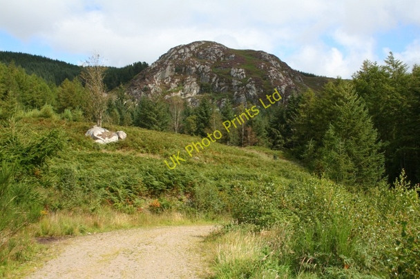 Photo 6"x4" Great Bank. Eskdale Green c2007